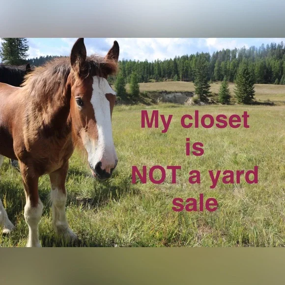 🆕Sheltiemomma Listings - Picture 4 of 5